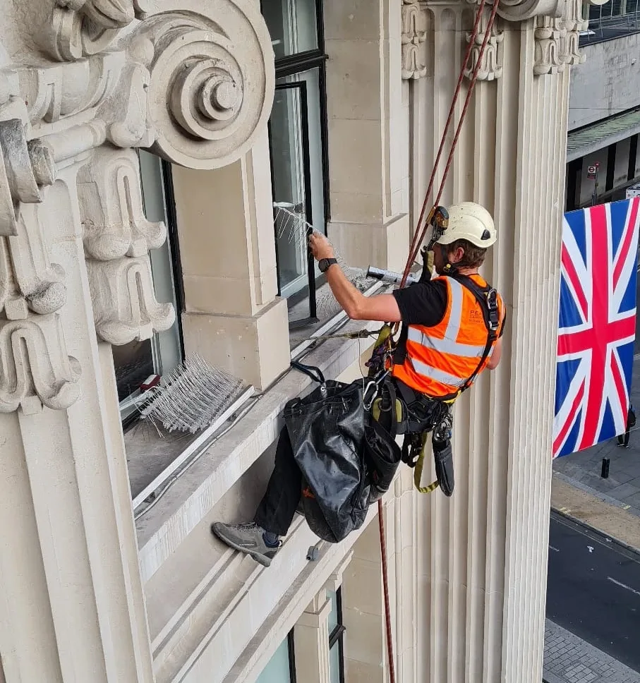 Rope access technicians installing bird spikes on a high rise building in London to deter birds