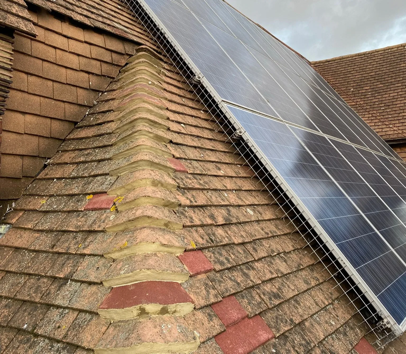 Expert solar panel cleaning service removing dirt, dust, and debris to improve energy efficiency and maximize solar output.