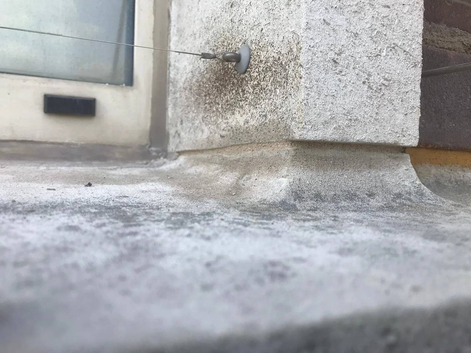 Rope access technicians installing a pin and wire bird deterrent system on a building ledge to prevent birds from perching.