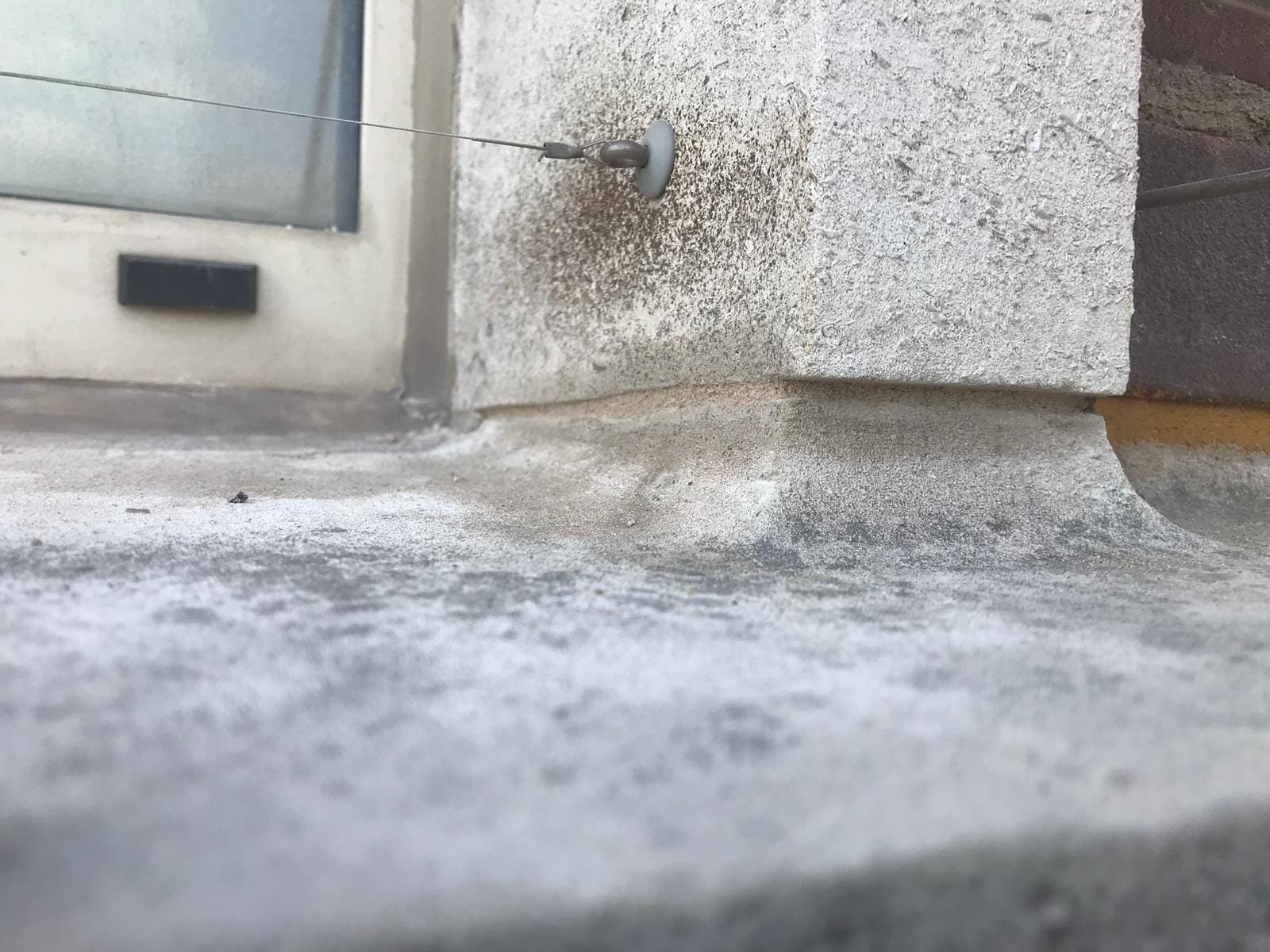 Rope access technicians installing a pin and wire bird deterrent system on a building ledge to prevent birds from perching.
